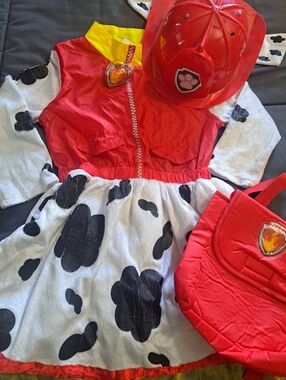 Paw Patrol Girl Dress